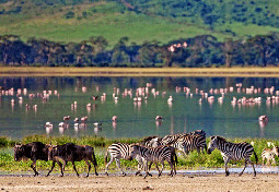  Tanzania safari holidays 