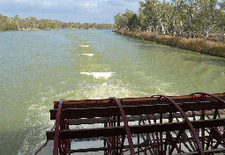 murray river in australia