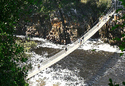 Tsitsikamma-suspension bridge