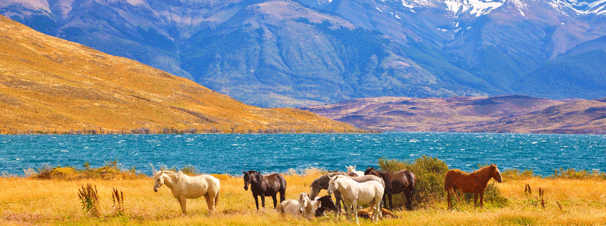 /resource/Images/southamerica/chile/headerimage/Torres-del-Paine.jpg