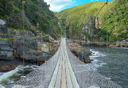 tsitsikamma national park bridge